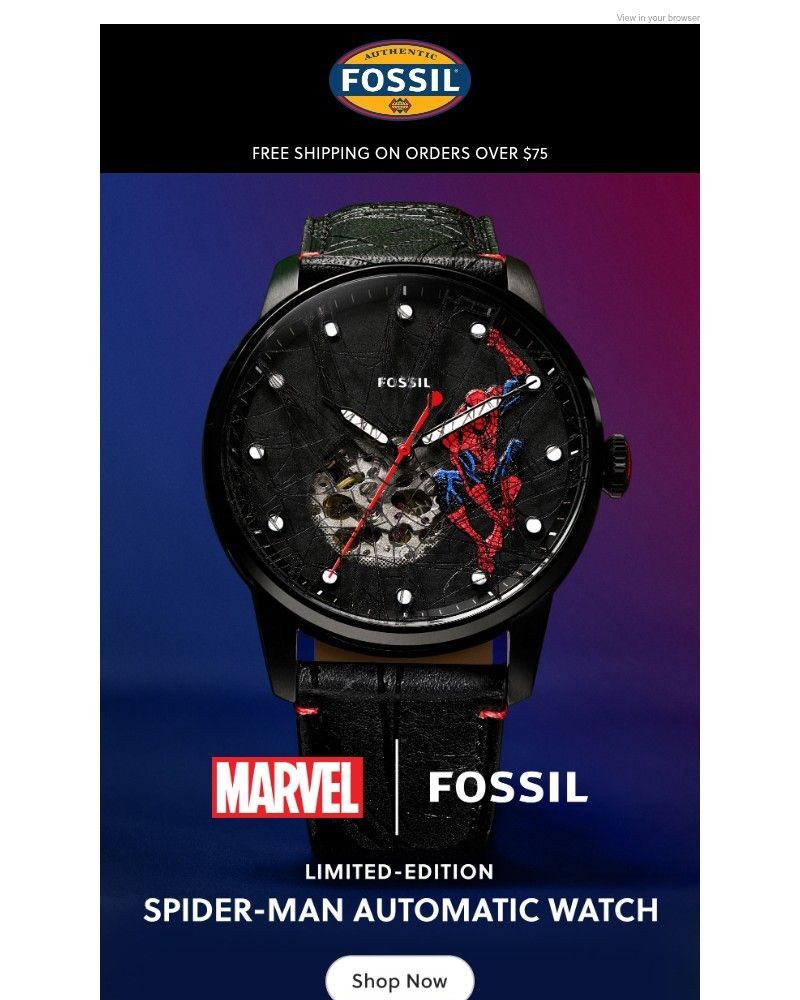 Screenshot of email sent to a Fossil Newsletter subscriber