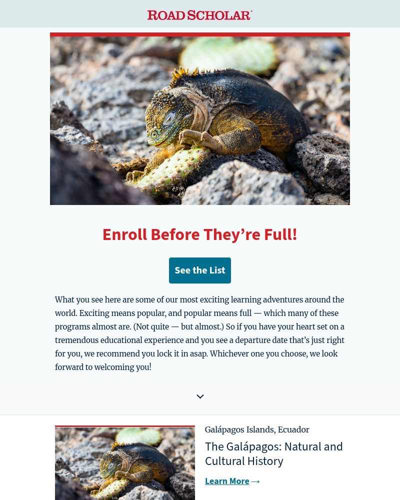 Screenshot of email sent to a Road Scholar Newsletter subscriber