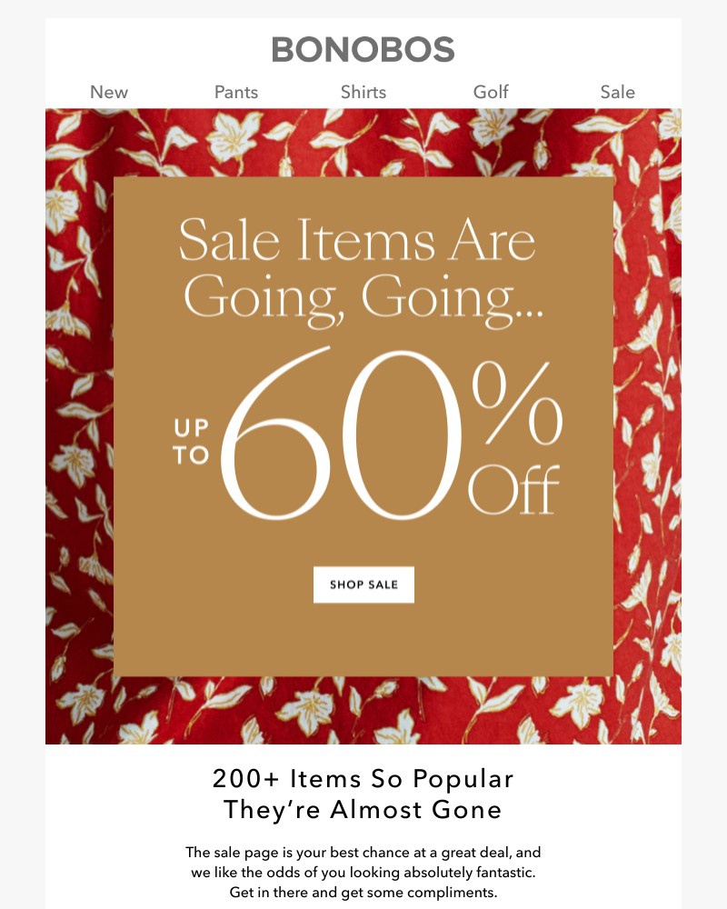 Screenshot of email with subject /media/emails/going-onceup-to-60-off-sale-d1e05b-cropped-2edf5f1e.jpg