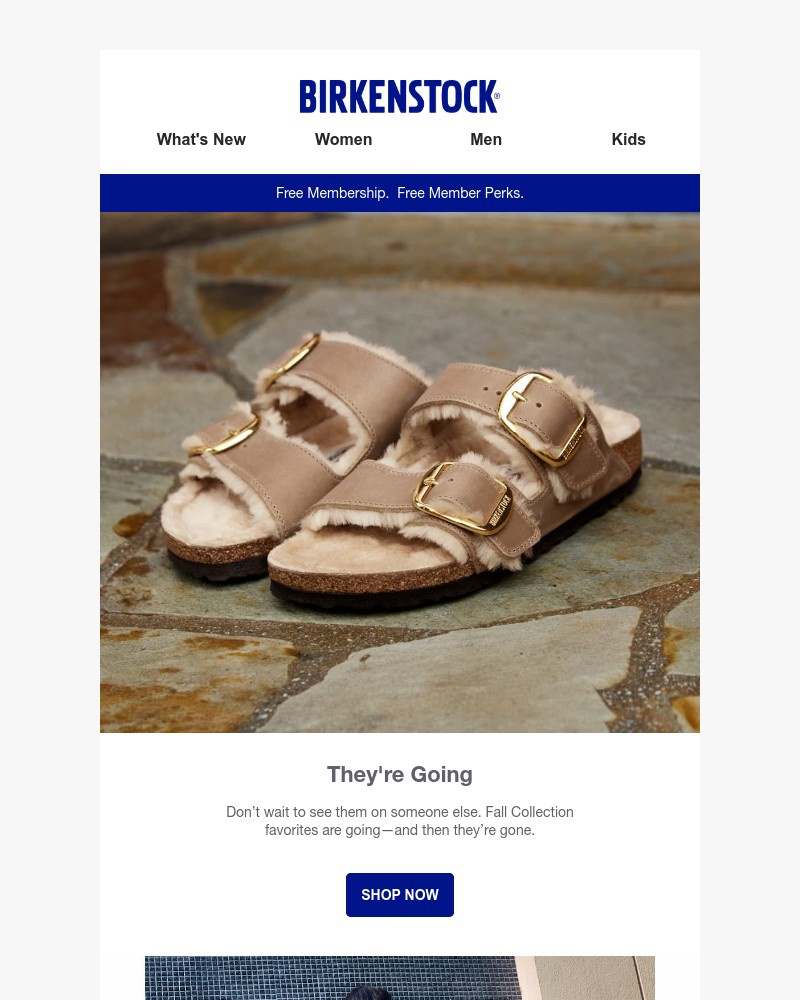 Screenshot of email with subject /media/emails/going-then-gone-boston-big-buckle-teddy-arizona-shearling-more-a594a4-cropped-0806455e.jpg