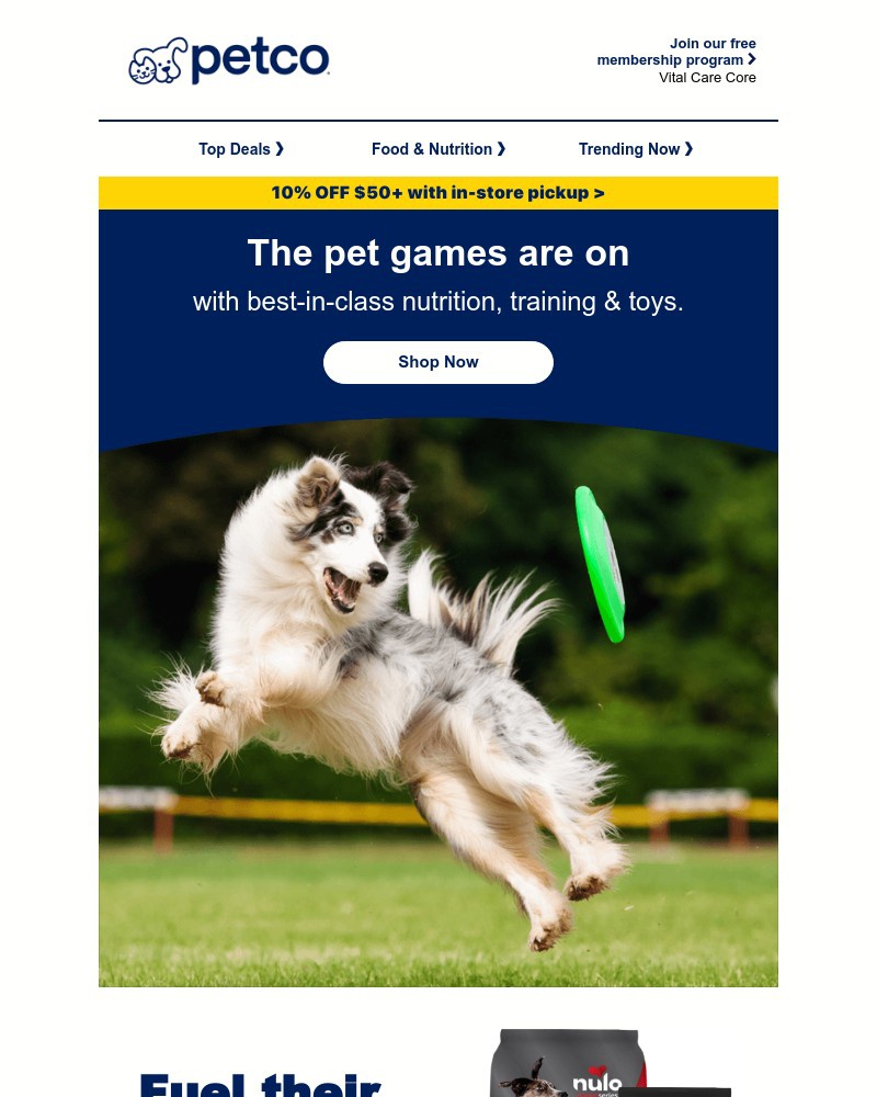Screenshot of email sent to a Petco Newsletter subscriber