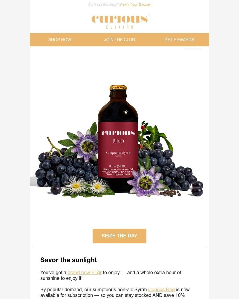 Screenshot of email sent to a Curious Elixirs Newsletter subscriber