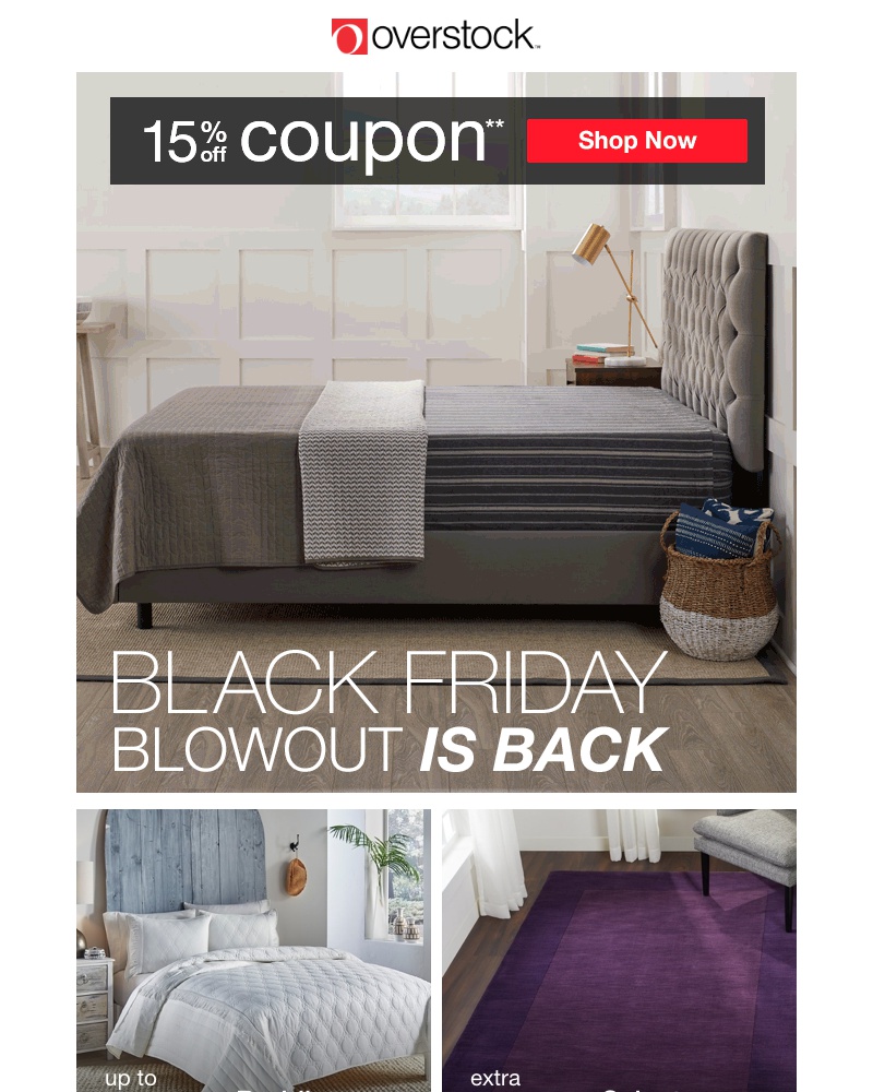 Screenshot of email with subject /media/emails/good-news-black-friday-blowout-continues-get-your-15-off-coupon-shop-now-cropped-4a03d45d.jpg