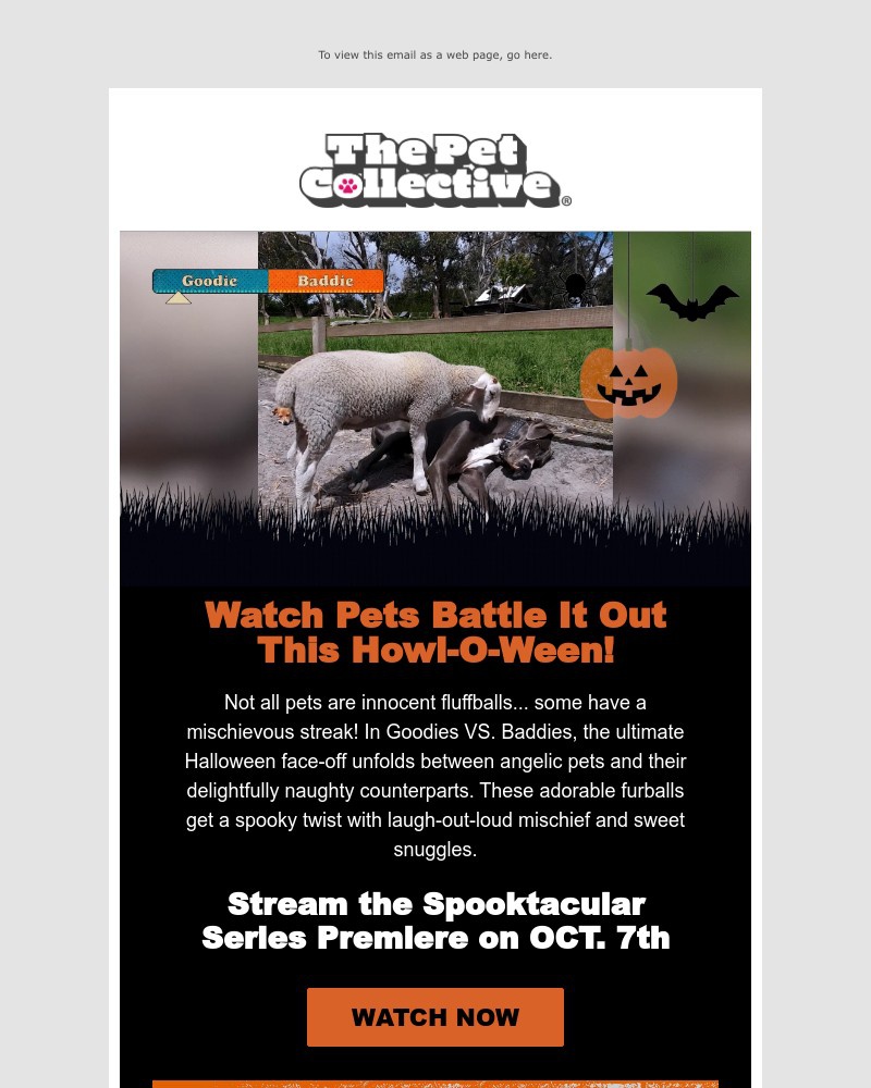 Screenshot of email with subject /media/emails/goodies-vs-baddies-the-cutest-face-off-ever-3fcd2d-cropped-e46d5e35.jpg