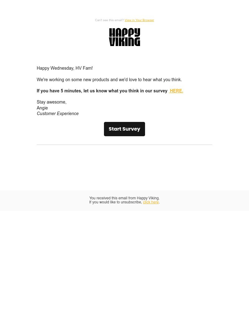 Screenshot of email sent to a Happy Viking Newsletter subscriber