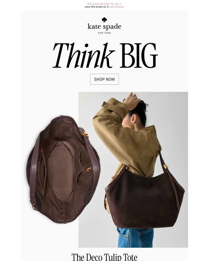 Screenshot of email with subject /media/emails/got-baggage-dd1e95-cropped-12aa34ad.jpg