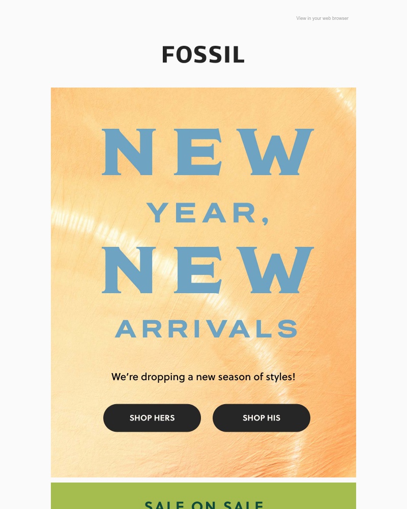 Screenshot of email with subject /media/emails/got-leftover-holiday-cash-cropped-8af6bbd4.jpg