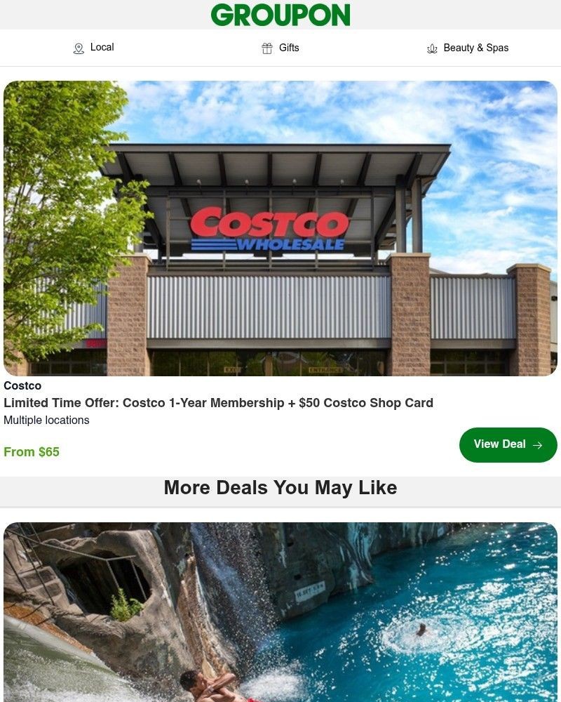 Screenshot of email with subject /media/emails/grab-a-one-year-costco-membership-before-its-gone-b10d4a-cropped-937e0aef.jpg