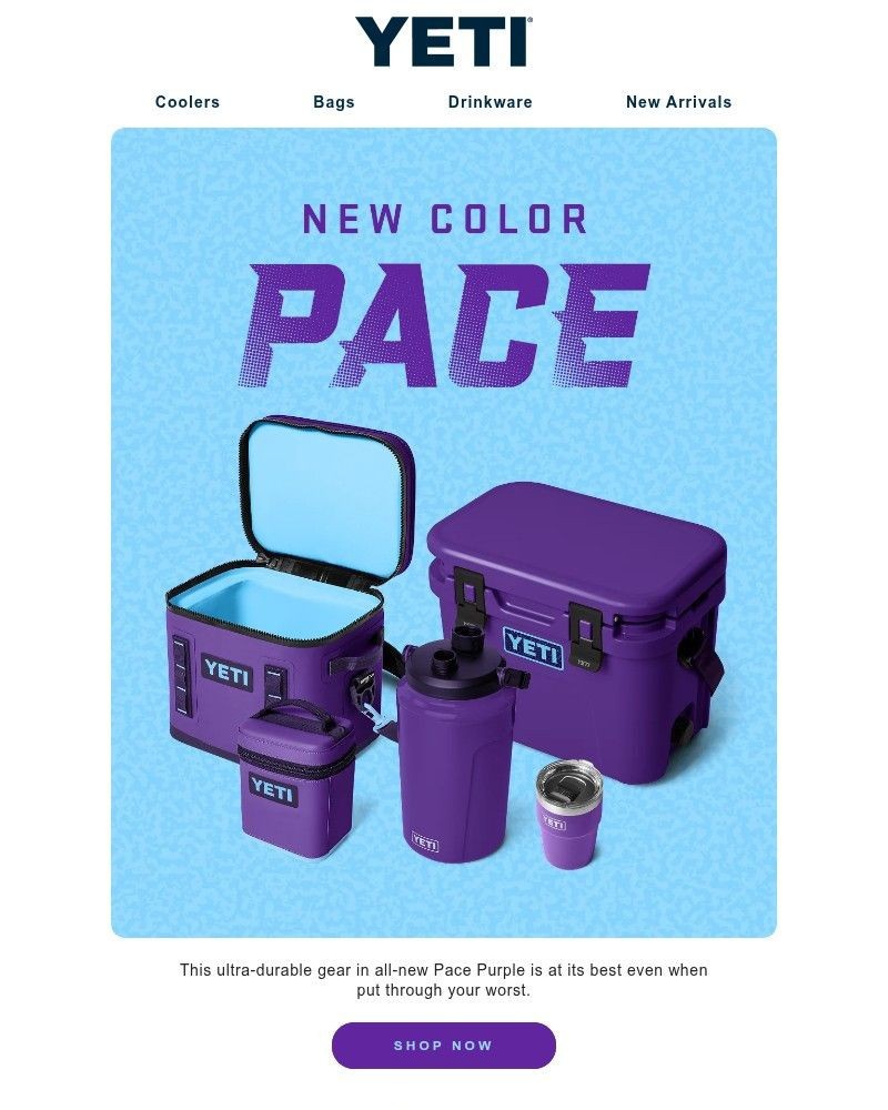 Screenshot of email with subject /media/emails/grab-gear-in-all-new-pace-purple-3f959a-cropped-5cdcd935.jpg