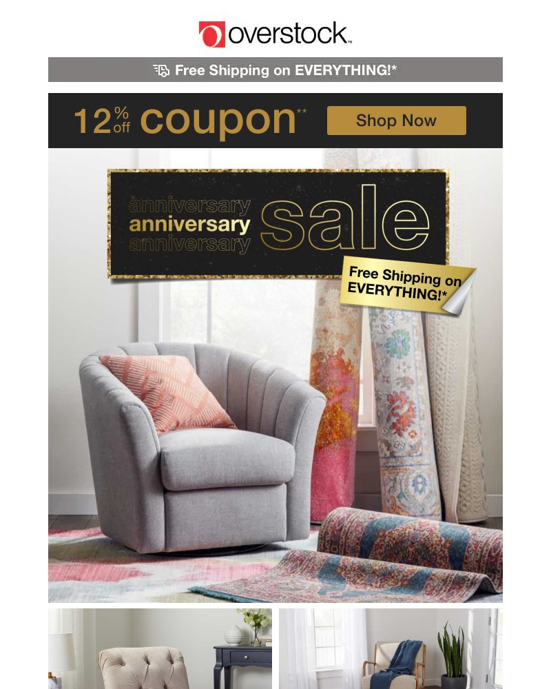 Screenshot of email with subject /media/emails/grab-your-12-off-coupon-it-would-break-our-heart-if-you-couldnt-shop-these-deals-_htlgK0z.jpg