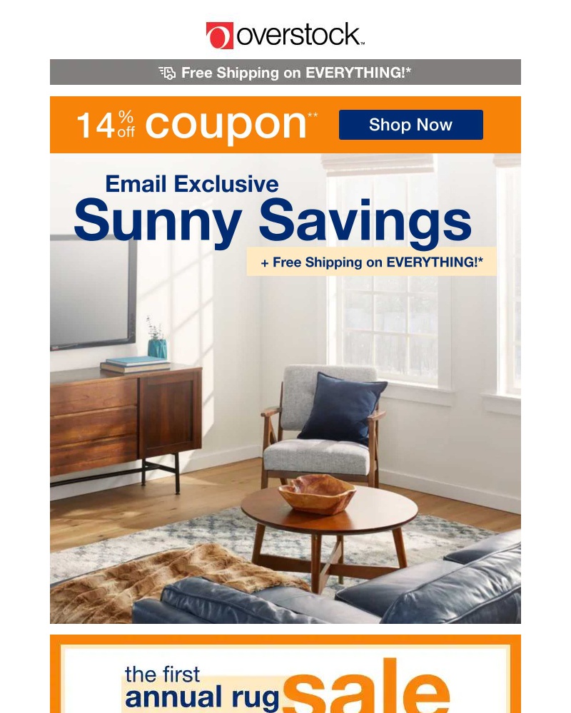 Screenshot of email with subject /media/emails/grab-your-14-off-coupon-get-your-daily-dose-of-sunny-savings-why-wait-to-shop-d49_meXSfES.jpg