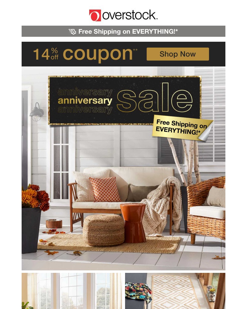 Screenshot of email with subject /media/emails/grab-your-14-off-coupon-it-would-break-our-heart-if-you-couldnt-shop-these-deals-_LykYlg4.jpg