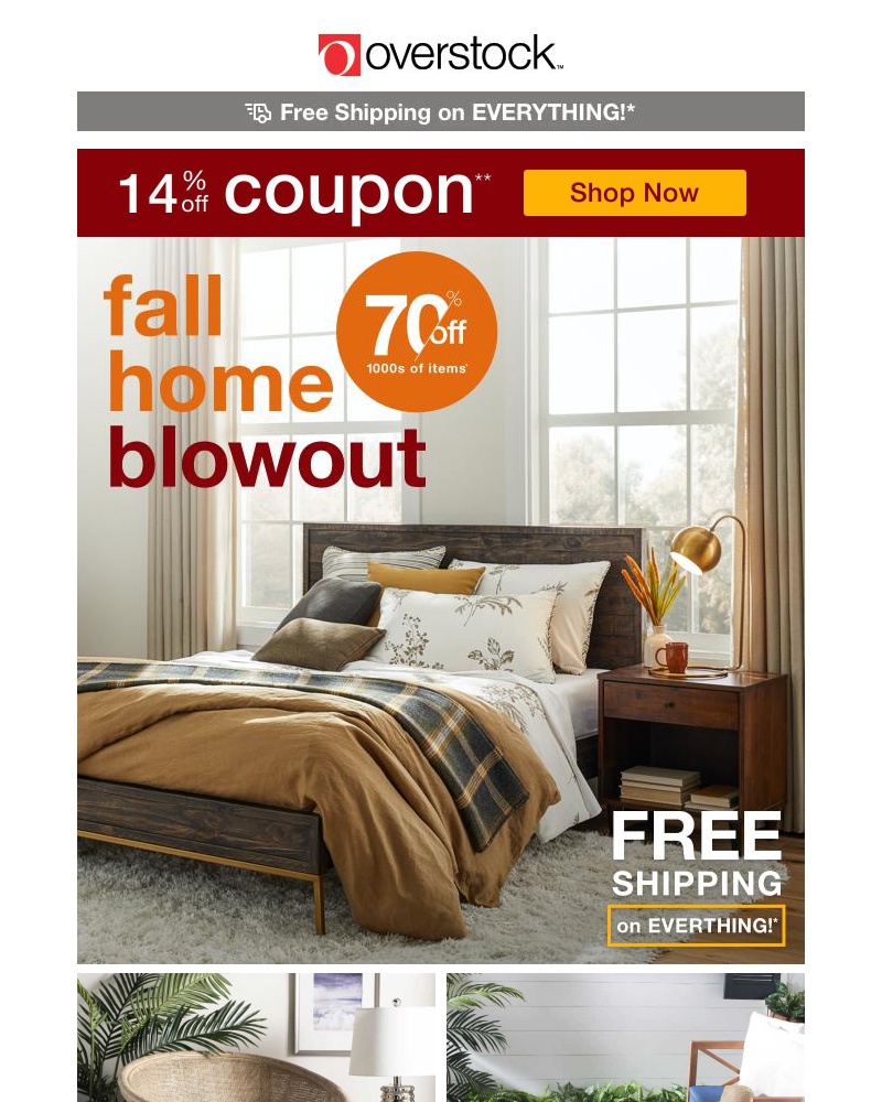 Screenshot of email with subject /media/emails/grab-your-14-off-coupon-its-the-fall-home-blowout-say-sayonara-to-summer-c19334-c_EugPpVD.jpg