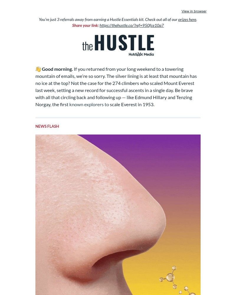 Screenshot of email sent to a The Hustle Newsletter subscriber
