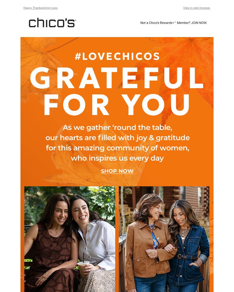 Screenshot of email with subject /media/emails/grateful-for-you-91bdf7-cropped-21997511.jpg