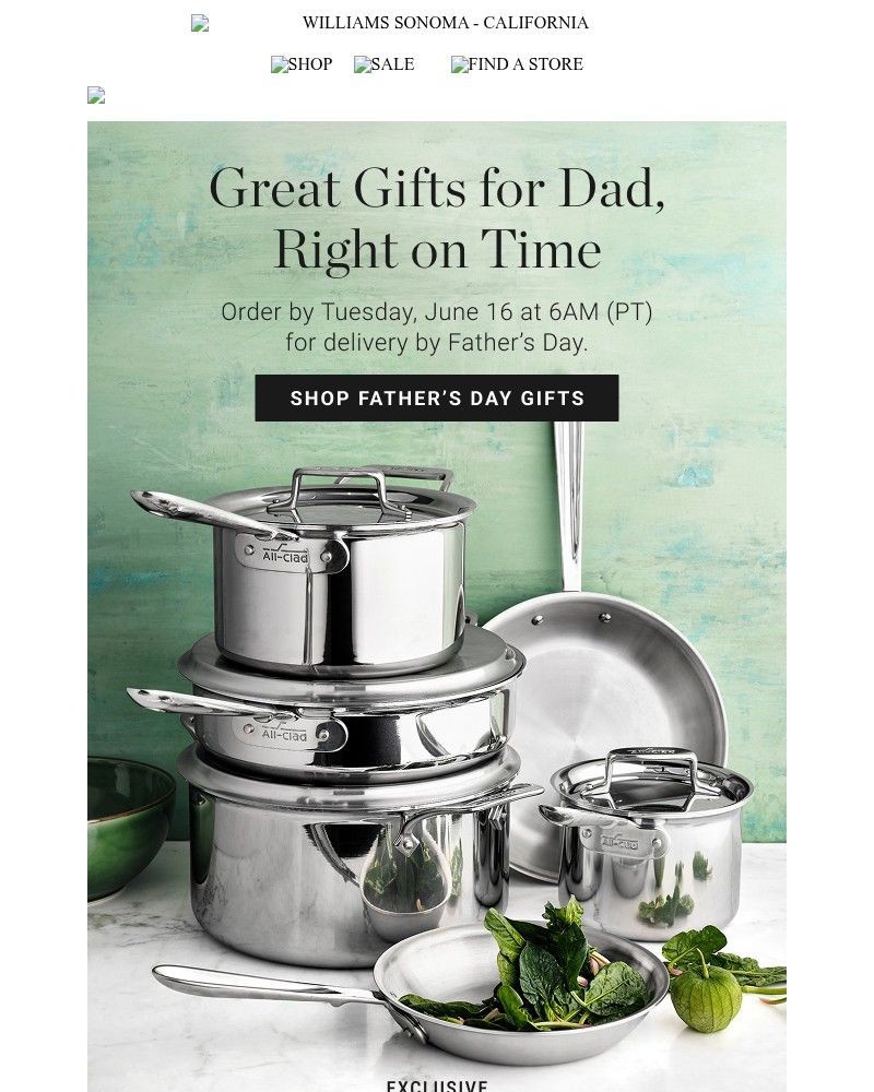 Screenshot of email with subject /media/emails/great-gifts-for-dad-order-by-6am-pt-tomorrow-to-get-it-in-time-9afc54-cropped-2f4a7d8f.jpg