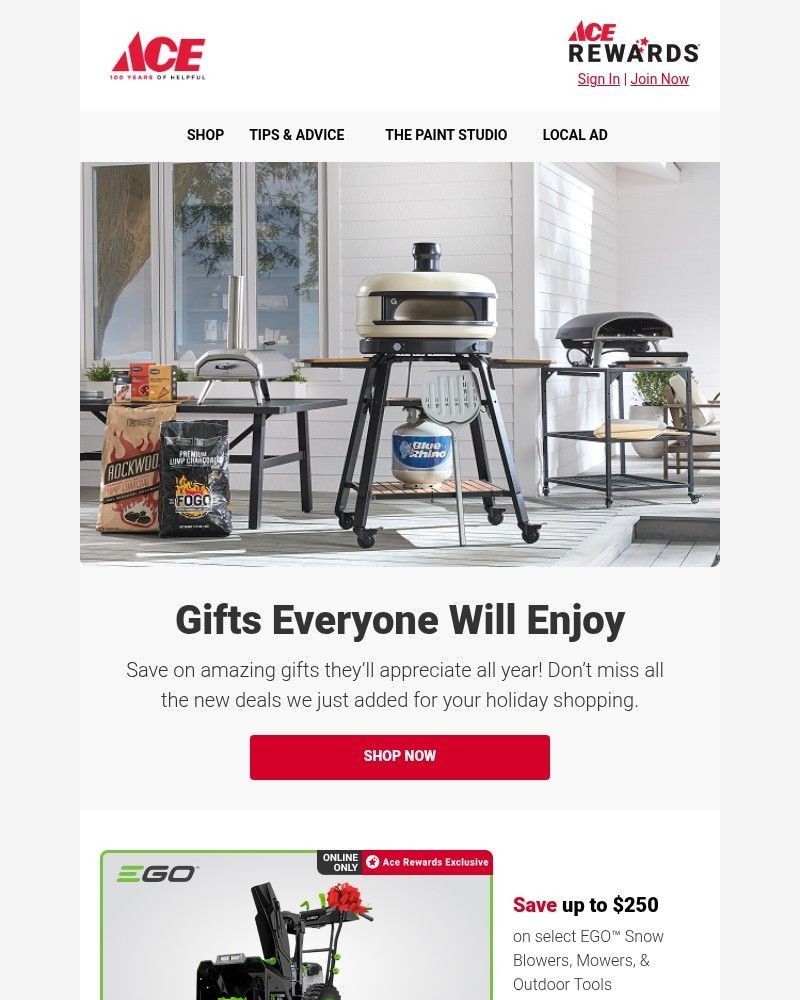 Screenshot of email with subject /media/emails/great-gifts-great-savings-the-ace-gift-guide-0fb44d-cropped-7cc1d6c7.jpg