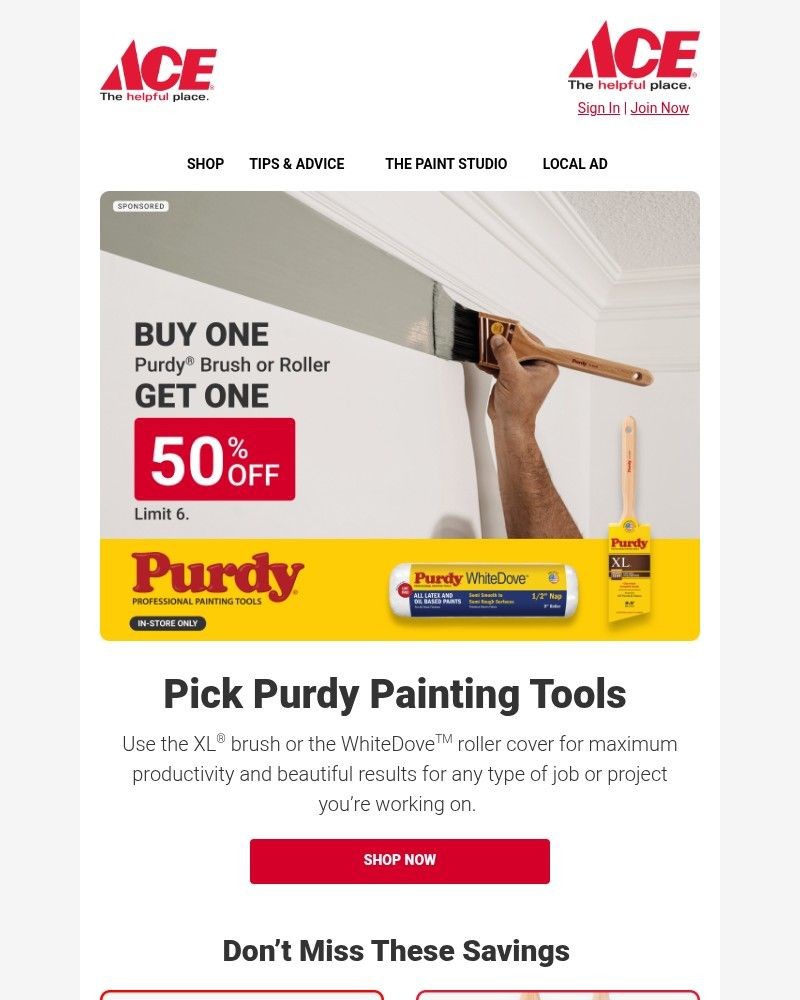 Screenshot of email with subject /media/emails/great-savings-on-purdy-paint-tools-at-ace-80f7d3-cropped-00109d0e.jpg