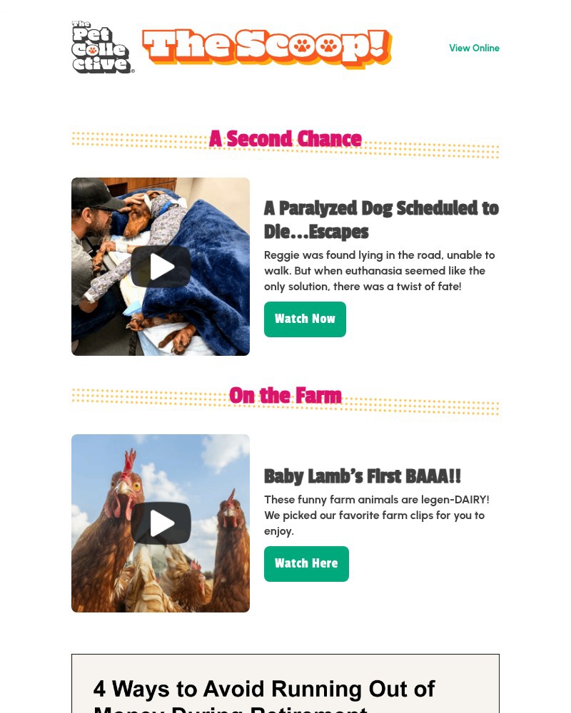 Screenshot of email with subject /media/emails/great-story-dog-set-to-die-escapes-e6958c-cropped-8e18c28b.jpg