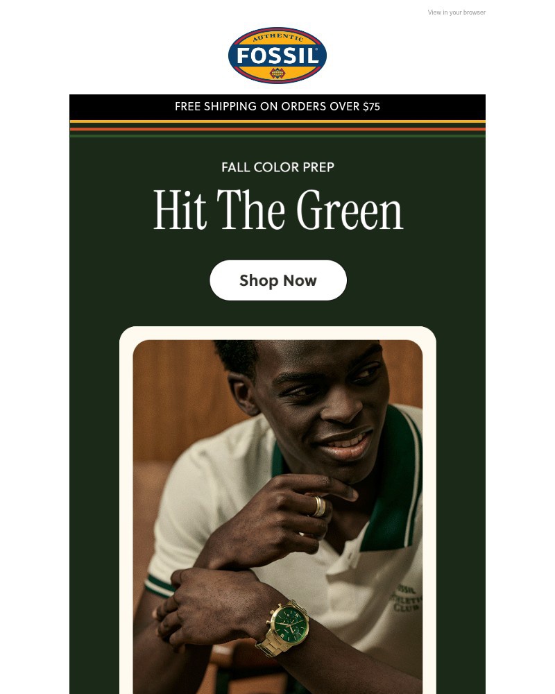 Screenshot of email sent to a Fossil Newsletter subscriber