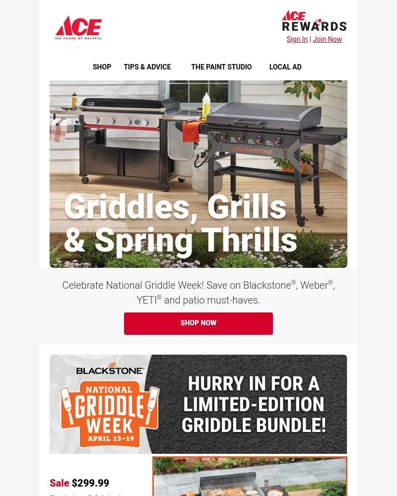 Screenshot of email sent to a Ace Hardware Newsletter subscriber
