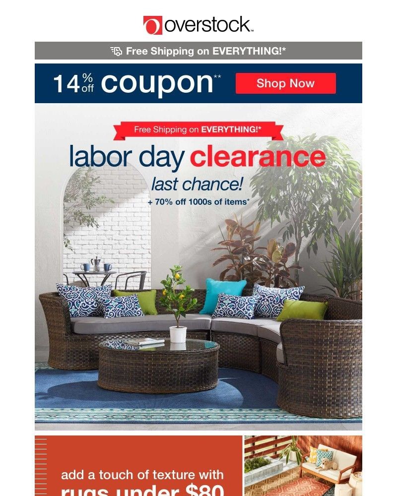 Screenshot of email with subject /media/emails/guess-what-we-saved-this-14-off-coupon-just-for-you-discover-5-star-finds-d68c8b-_pcF8dQC.jpg