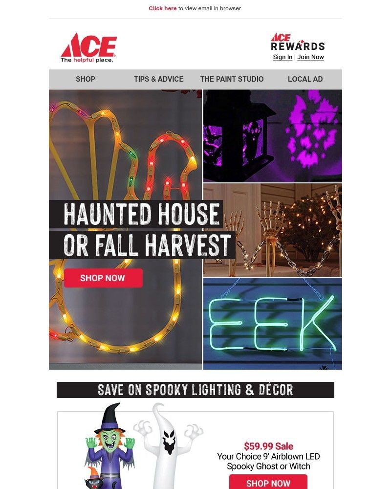 Screenshot of email with subject /media/emails/halloween-done-right-cd7083-cropped-ec57bf1d.jpg