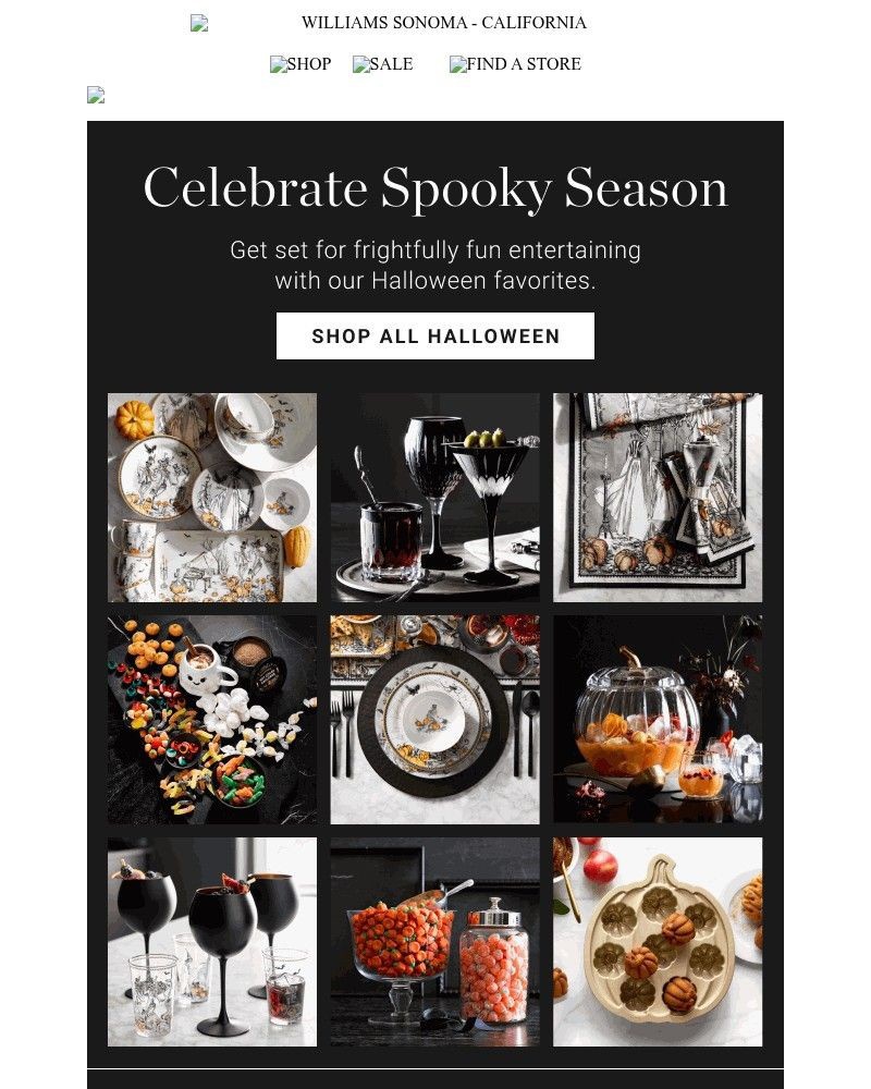 Screenshot of email sent to a Williams Sonoma Newsletter subscriber