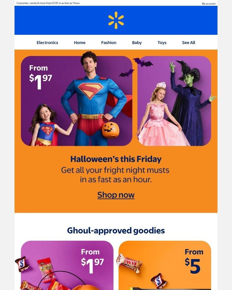 Screenshot of email sent to a WalMart Registered user