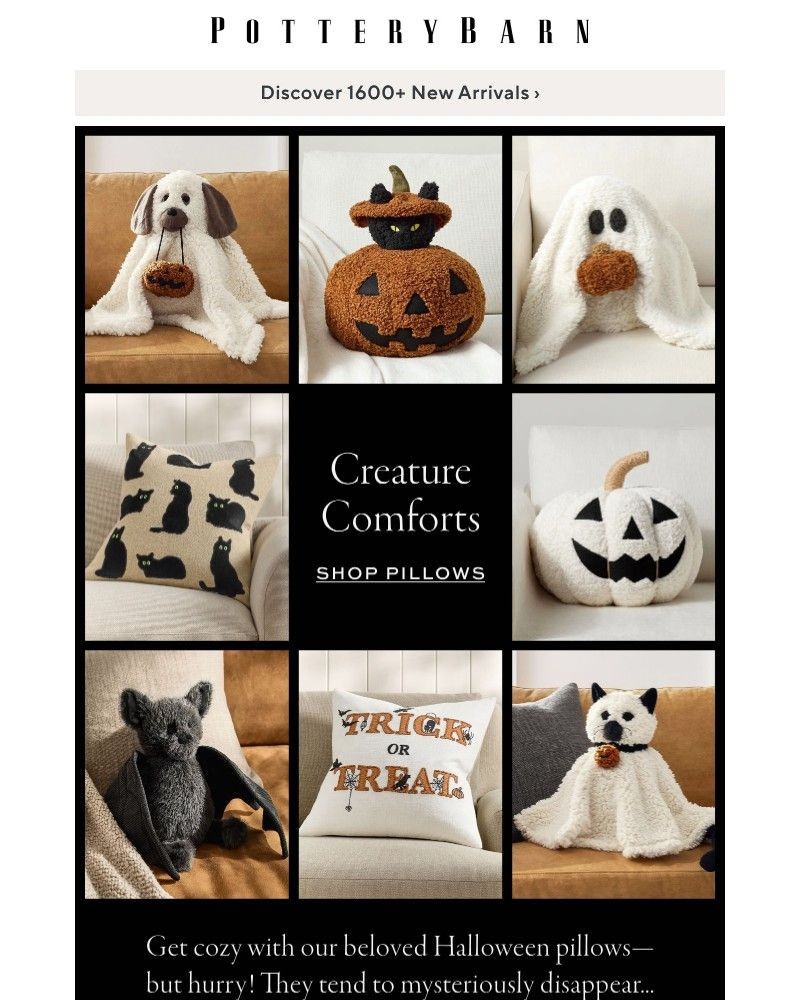 Screenshot of email with subject /media/emails/halloween-pillows-all-ship-free-413825-cropped-40831f85.jpg