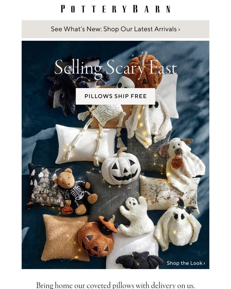 Screenshot of email with subject /media/emails/halloween-ready-pillows-delivered-free-1a4dd7-cropped-99627544.jpg