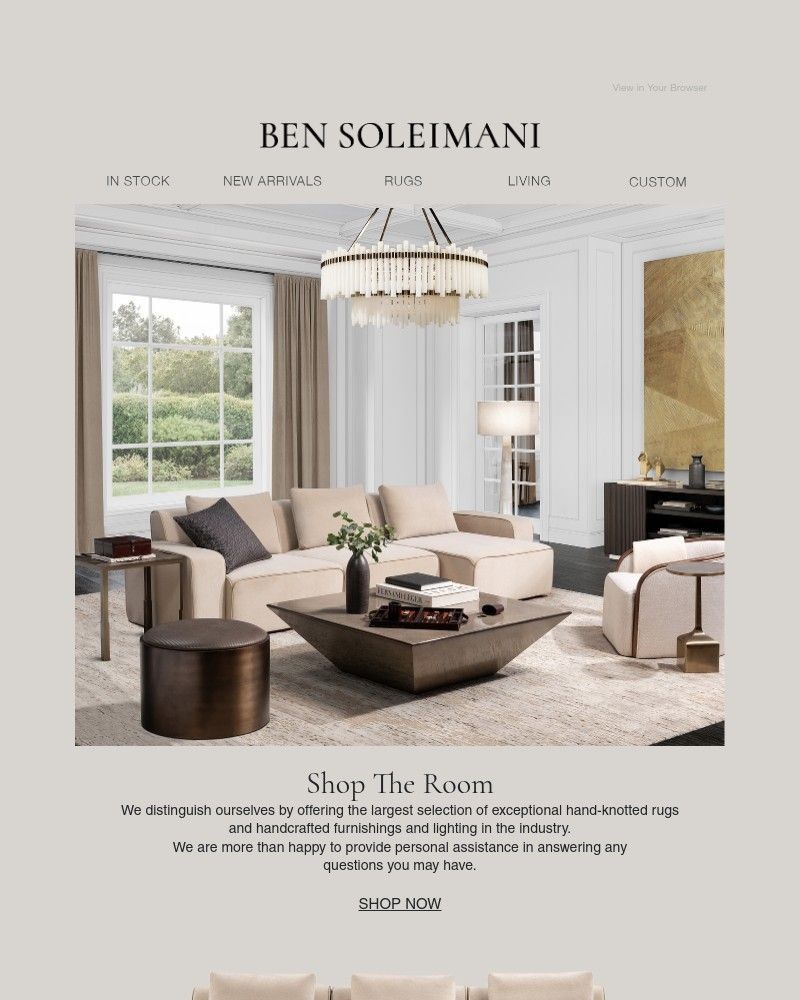 Screenshot of email sent to a ANNA by RadLabs Cart abandoner