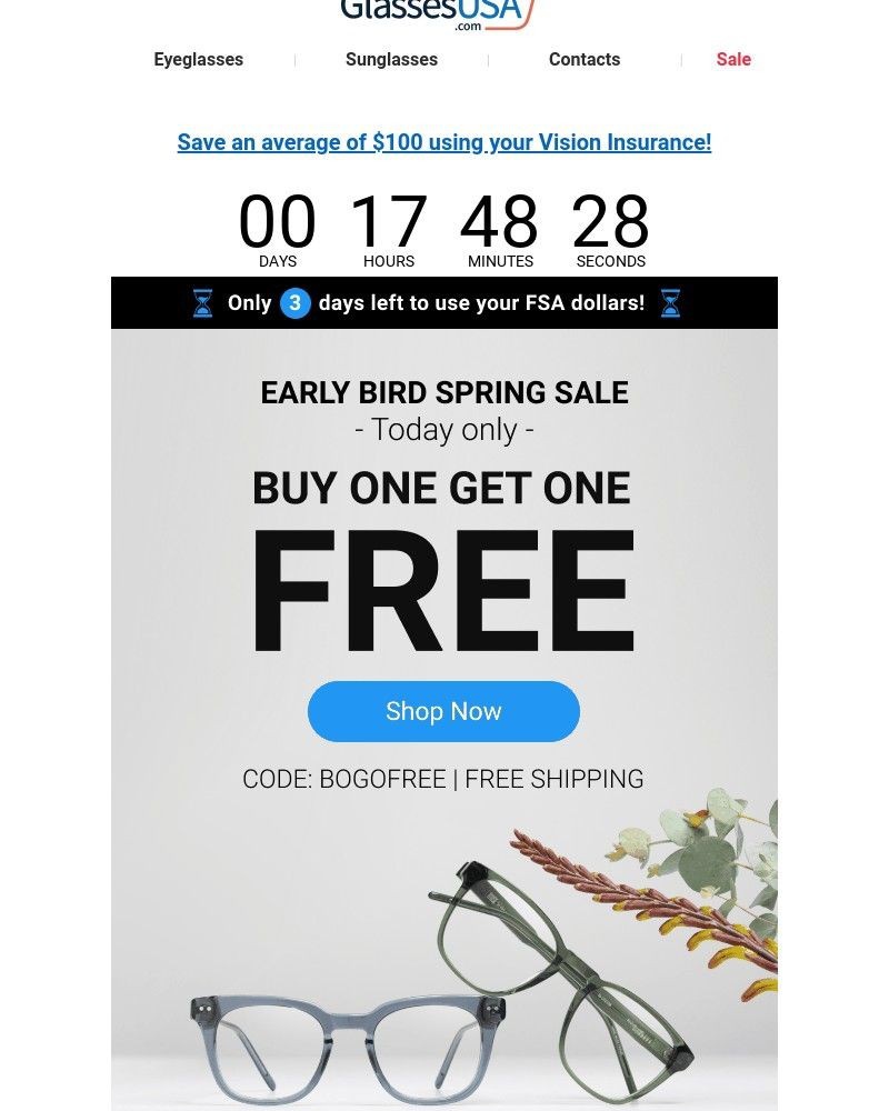 Screenshot of email with subject /media/emails/happening-now-early-bird-spring-bogo-fsa-eligible-040cc8-cropped-a2f28e25.jpg