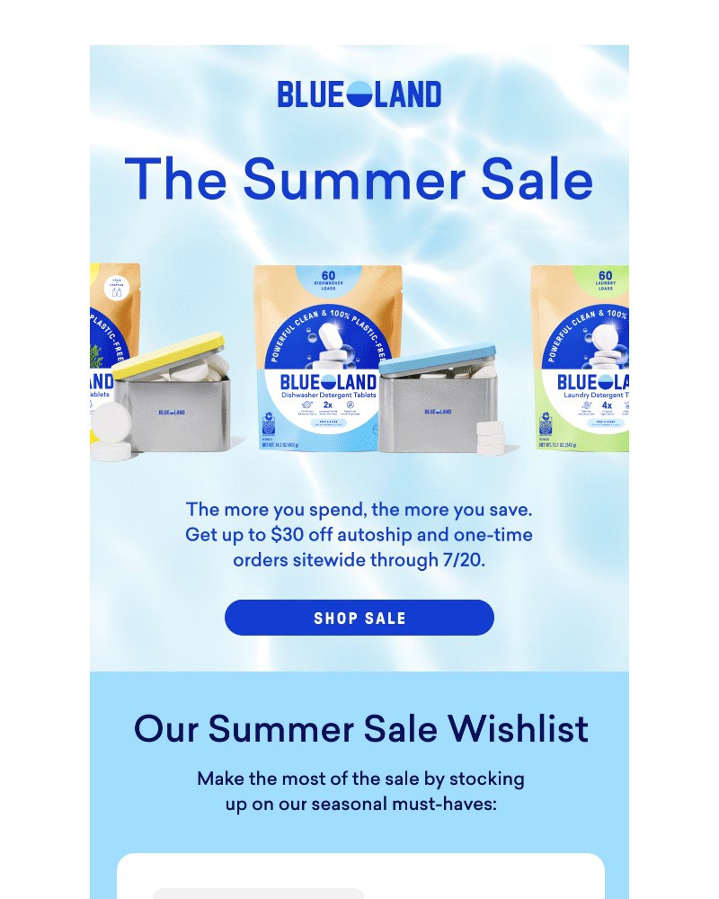 Screenshot of email sent to a Blueland Newsletter subscriber