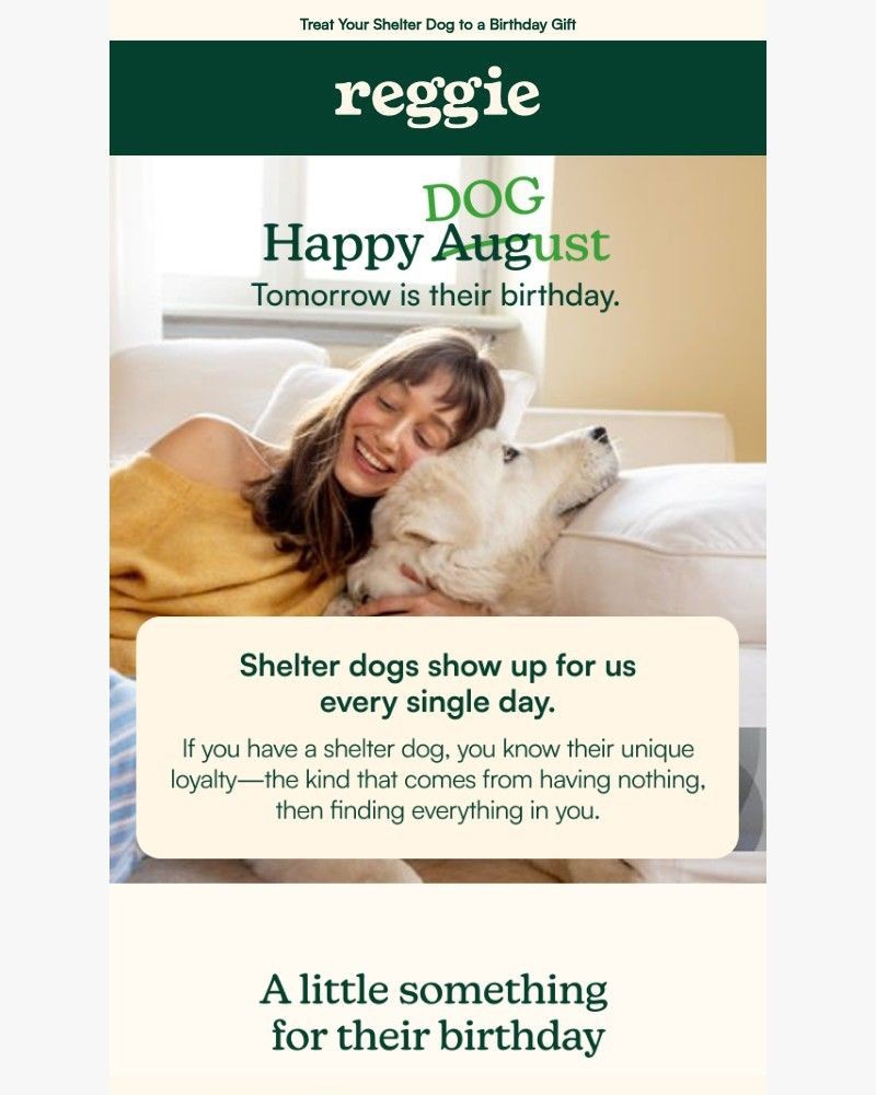 Screenshot of email sent to a reggie Newsletter subscriber