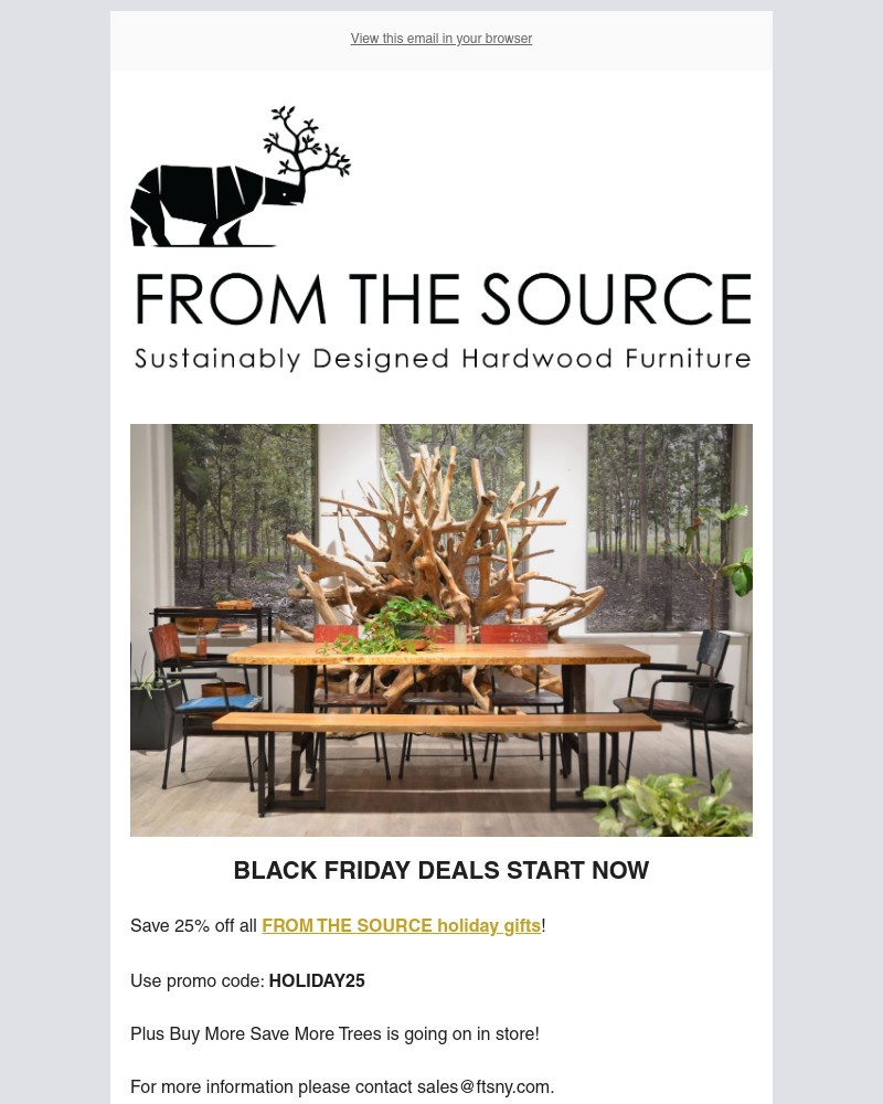 Screenshot of email with subject /media/emails/happy-black-friday-its-time-to-save-e05450-cropped-8fb79f54.jpg