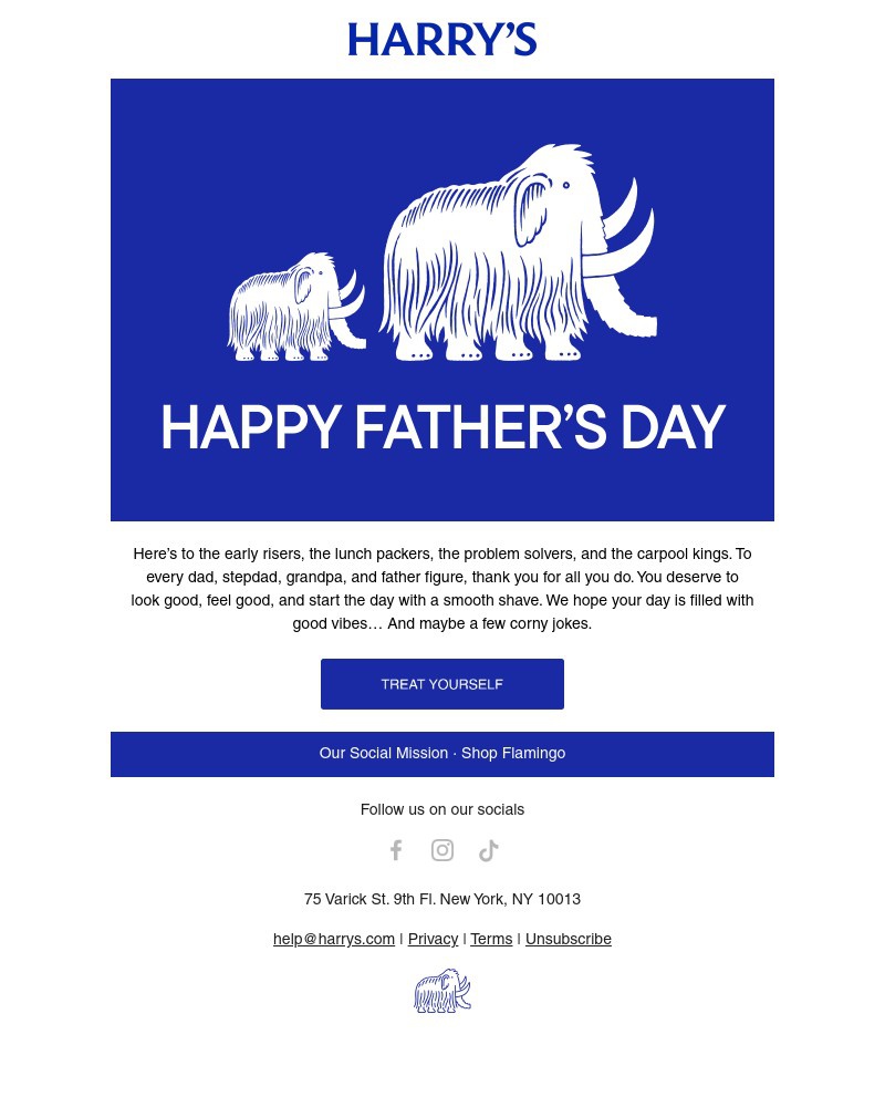 Screenshot of email with subject /media/emails/happy-fathers-day-08c1b6-cropped-0fd3701e.jpg