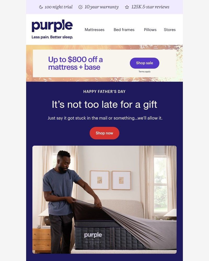 Screenshot of email sent to a Purple Cart abandoner