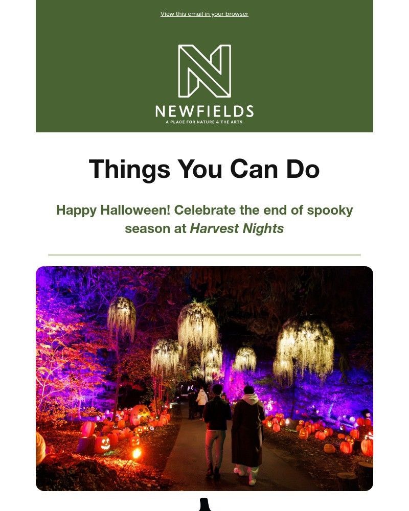 Screenshot of email with subject /media/emails/happy-halloween-7bccda-cropped-384019d4.jpg