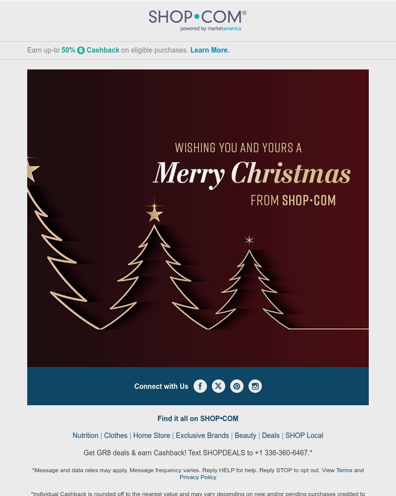 Screenshot of email with subject /media/emails/happy-holidays-from-shopcom-0ca430-cropped-22fd0872.jpg