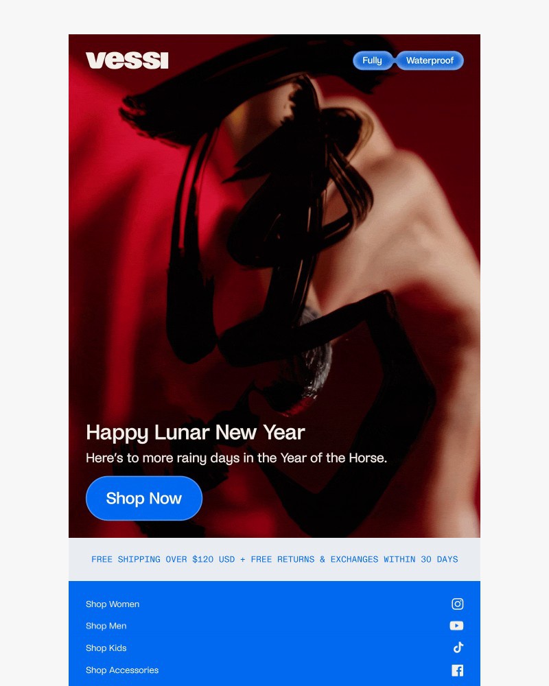 Screenshot of email sent to a Vessi Seller