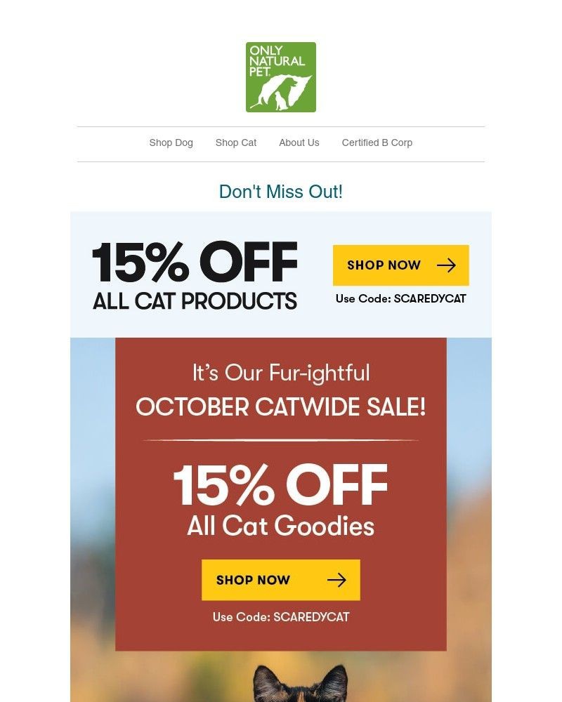 Screenshot of email with subject /media/emails/happy-meowlloween-your-pet-ca2a01-cropped-7011cc04.jpg