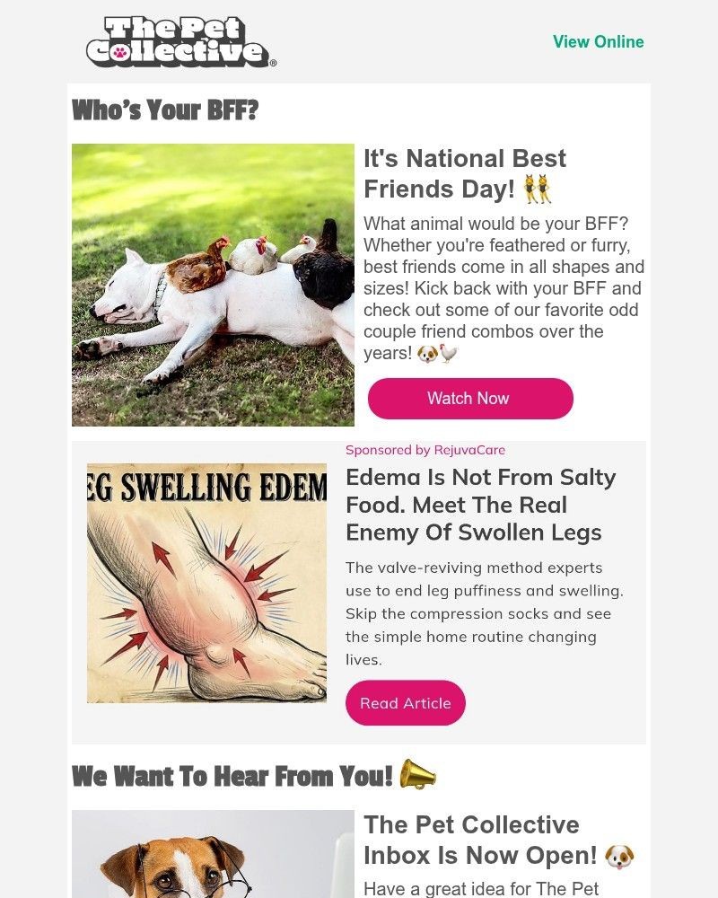 Screenshot of email with subject /media/emails/happy-national-best-friends-day-ef91a1-cropped-762382a5.jpg