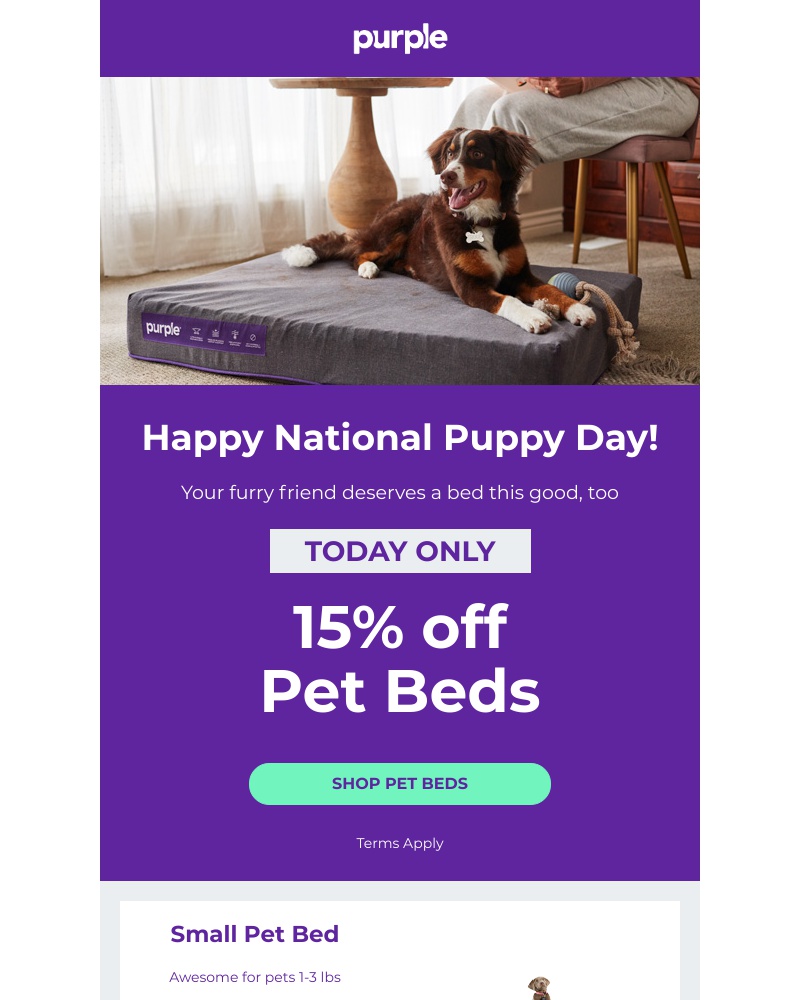 Screenshot of email with subject /media/emails/happy-national-puppy-day-save-15-on-the-comfort-your-fur-baby-deserves-cropped-aef3686d.jpg