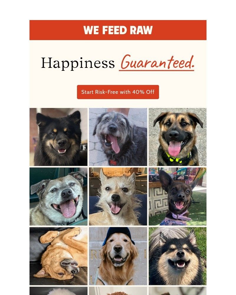 Screenshot of email sent to a We Feed Raw Newsletter subscriber
