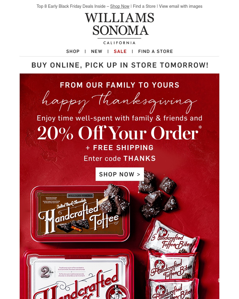 Screenshot of email with subject /media/emails/happy-thanksgiving-from-our-family-to-yours-20-off-your-order-1-cropped-867d13a1.jpg