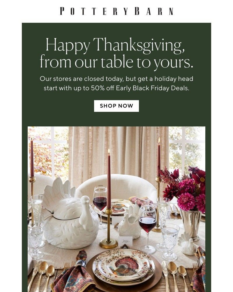 Screenshot of email with subject /media/emails/happy-thanksgiving-from-our-table-to-yours-99e3a8-cropped-3cb4fb74.jpg