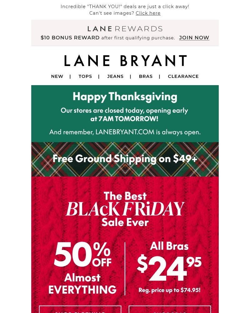 Screenshot of email with subject /media/emails/happy-thanksgiving-from-us-to-you-1a00b8-cropped-d16edac5.jpg