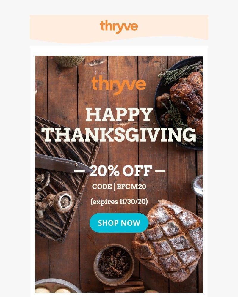 Screenshot of email with subject /media/emails/happy-thanksgiving-take-20-off-storewide-6568f0-cropped-8a3a210d.jpg