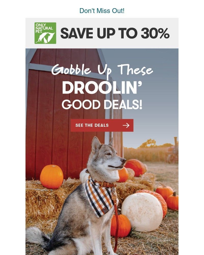 Screenshot of email sent to a Only Natural Pet Newsletter subscriber